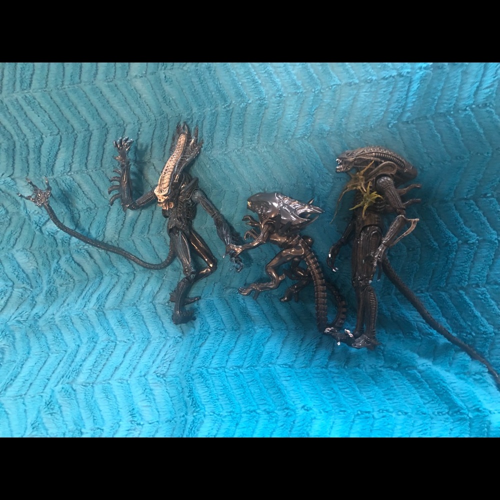 Xenomorph action figures . 3 figures included